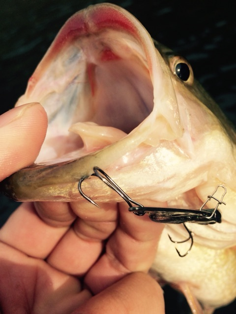 {428918BE-2503-4AD6-9BDD-11F3286964FA:01}