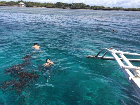 {DE5887B9-FCF0-4053-ACFC-3594FFB3EBEE:01}