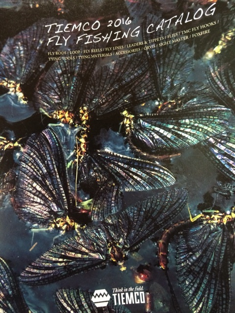 {ACD90E81-7DD9-4938-BFCC-E7913994CBC0:01}