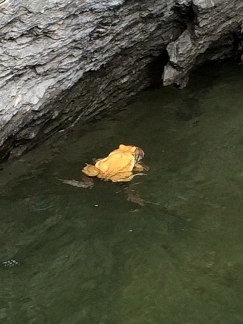 {3E6E41C1-2193-48F1-BE4A-2C5C6F6BCC75:01}