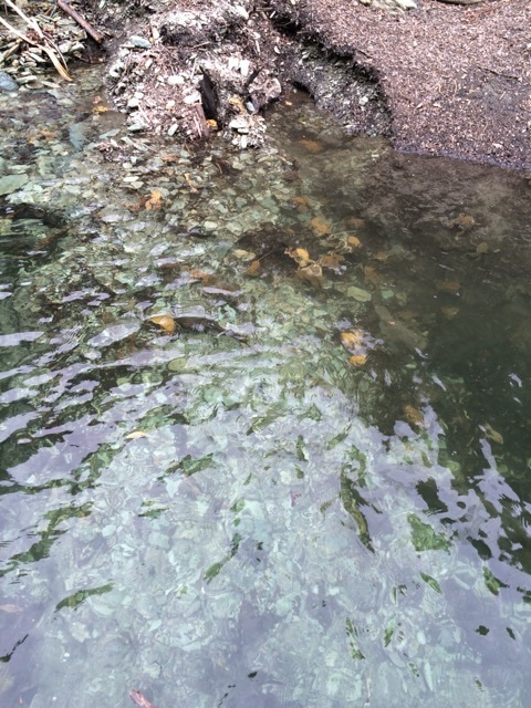 {EBFFFDB2-AC76-49AB-A860-FD1E1BA4B2FC:01}