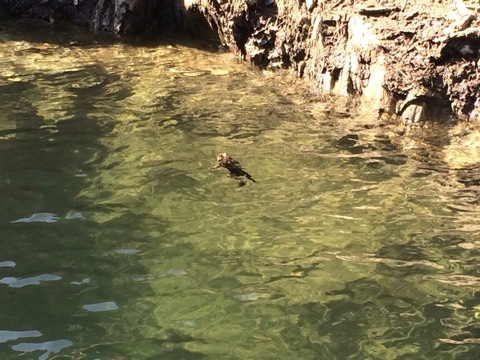 {B600B8AB-80D0-48C1-AB41-30A67C0A2161:01}