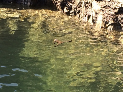 {48566CC4-BEEE-4877-9E7F-C862F870D260:01}