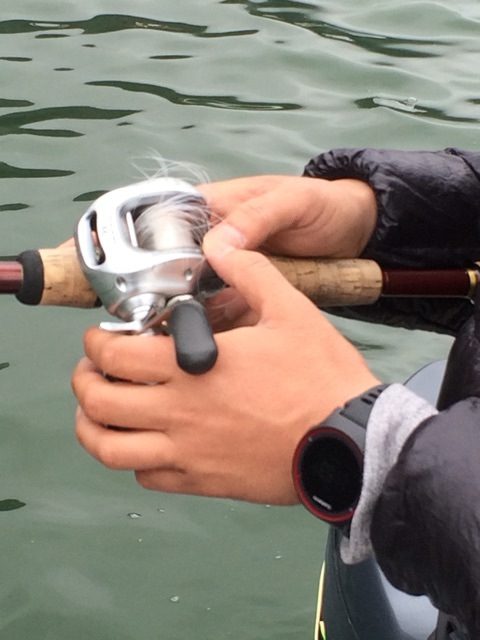 {FB13CC4B-13AD-4D88-AB0D-DE85A2ED73D5:01}