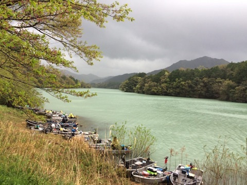 {D9DC4181-4B0A-4483-B5F3-C9619341EDFA}