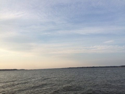 {B96C2B6E-FF35-44B4-A440-9F79494D67E9}