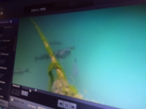 {F3F2821E-659C-4A20-A9BA-F5FDB840A0FB}