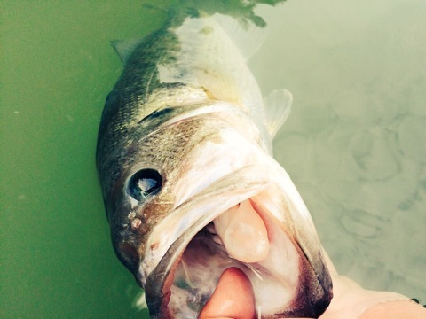 {4604087D-201A-4E75-A899-DF2B3889F28C}