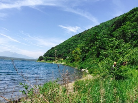 {5AA057A5-74F0-4C71-AC9E-14C90B2A7C05}