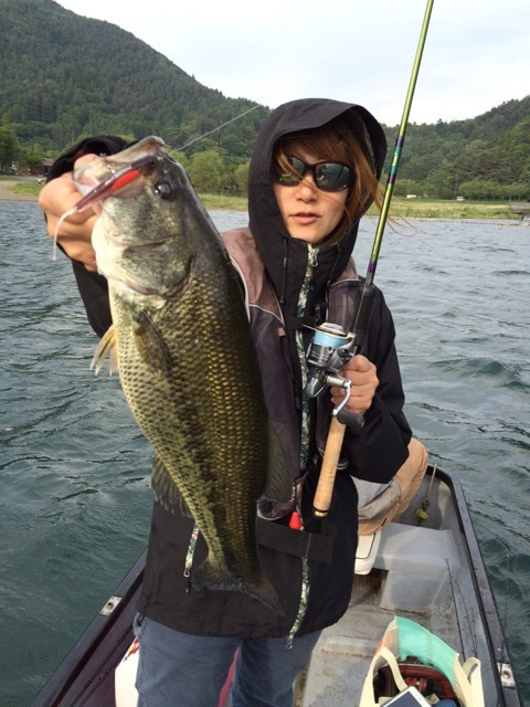 {4AD5C76A-7E26-460D-884E-3A6C500EF17C}