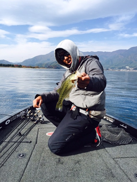 {6F1B8A8B-2E22-4EEC-8181-A6F35C8C86B0}