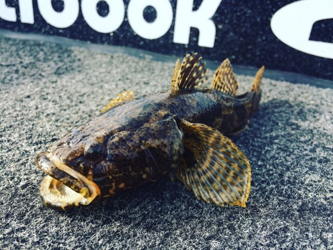 {872492EB-AEF6-44B7-9A49-8949E173F1A2}