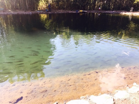 {B5FE5546-326E-4BCE-AE91-E837461A8F05}