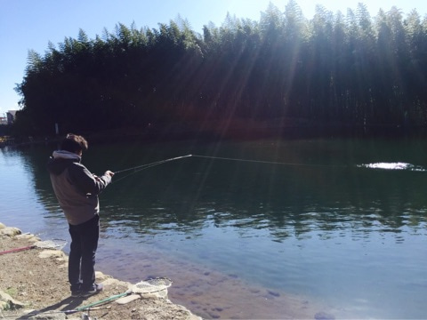 {31D22395-0703-4D5F-A0DC-13C70DD62201}