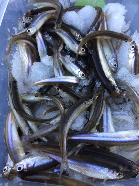 {A699B546-2CA9-4AEE-AD8B-0B3E6A7F7787}