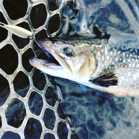 {F30CDE5A-3FDC-4D22-909F-D9C22E7716CB}