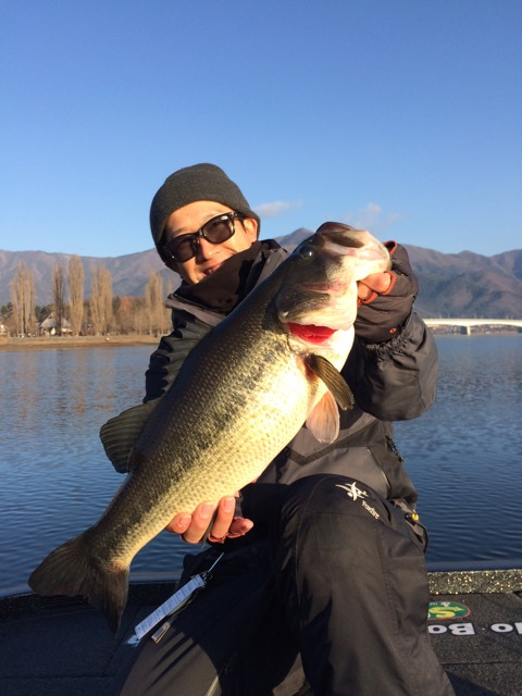 {655BCCEB-CA60-418A-8A07-2732E9EDCD75}