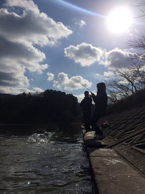 {076EA623-7C38-41E4-AD81-02B08DC59E2C}