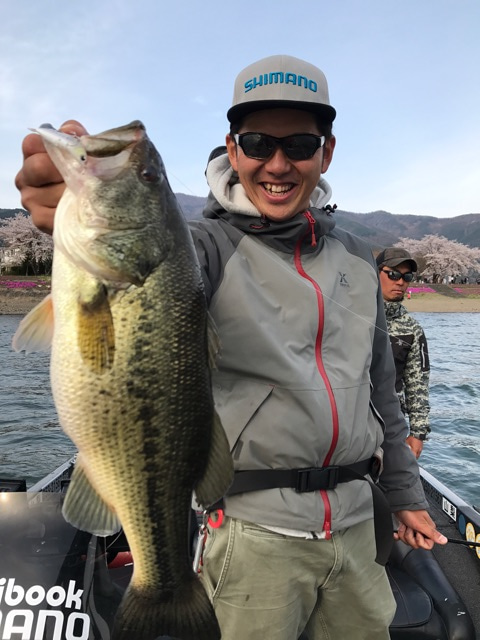 {1F821C62-46C4-4F33-86D6-1749CC4CA8C5}