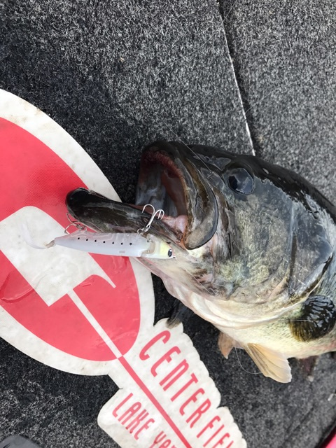 {FEF6A51B-323F-4245-81DB-7FBBDB8EFE92}