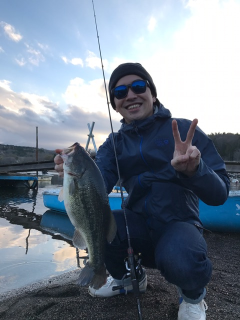 {A4DAD8F4-5028-42F4-BE11-9678979ADC27}