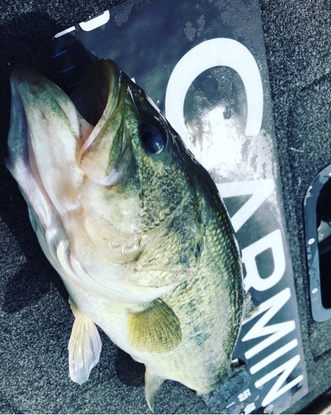 {4089FCF5-98AA-4A45-BC97-519FFF8E8EE9}