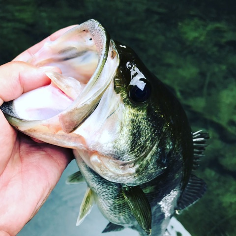 {C4F66950-AE4C-4106-8966-E597A4915A7A}