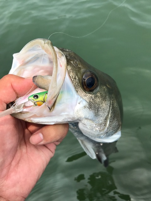 {2EB0E6C0-5FE7-4011-BD16-760BD0A1104F}