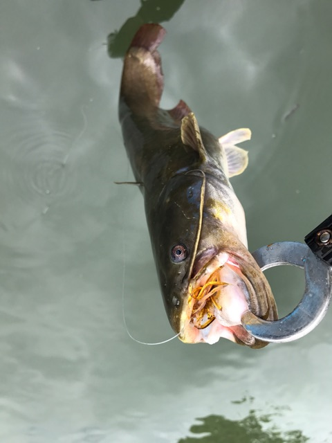 {47C3C3A5-BF84-4F4C-88E2-B3AF14575057}