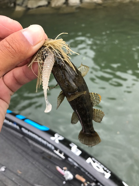 {0F6B1591-6D1E-493B-9848-92178B0E9EAD}