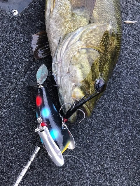 {EAE04EFE-7E78-4B7F-B69A-57EEA1D047EA}