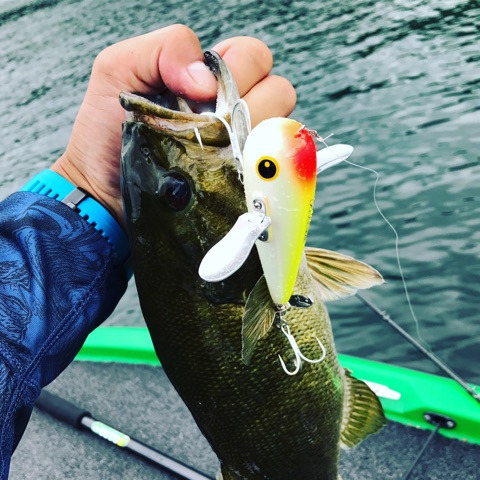 {D5405B0E-AB41-4CB1-B69D-22BBDFC9994E}