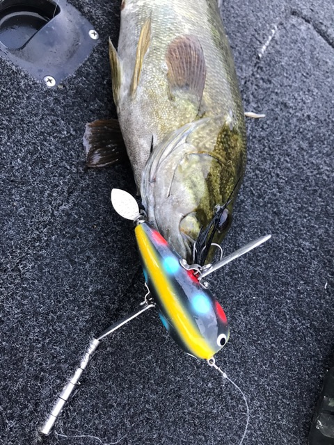 {853551DD-16F0-4D07-B3A4-C60E50405533}