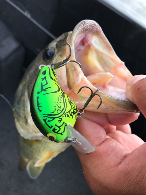 {5C796E0E-CF40-439A-9F74-A7AD7A2790B4}