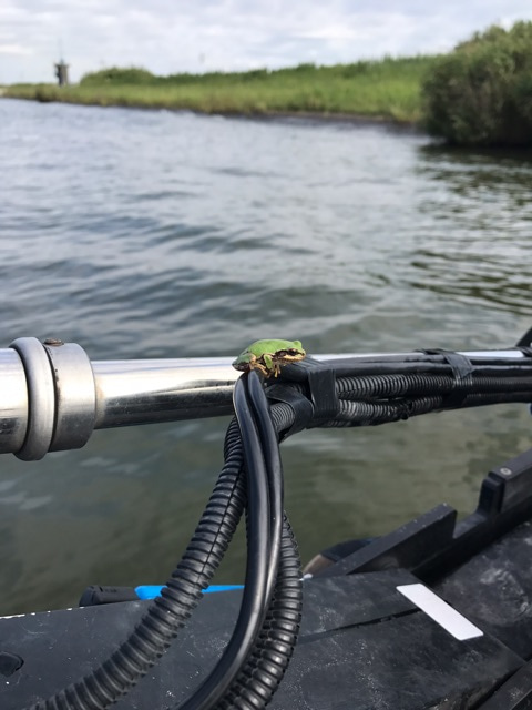 {91728C6F-8D01-4738-807E-119E88A8E556}