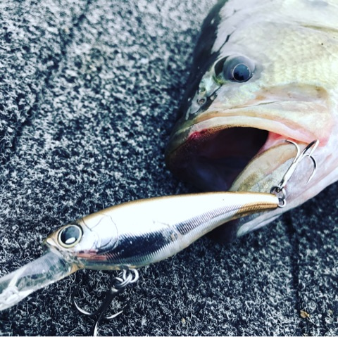 {7D226359-93DA-4088-ACE4-82C14B7D0A60}