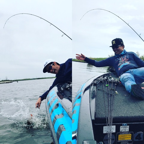 {1BB694CC-0208-462E-8A9F-BD7B22C7440E}