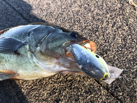 {18971773-EBB3-4771-B426-76E72F76CDE1}