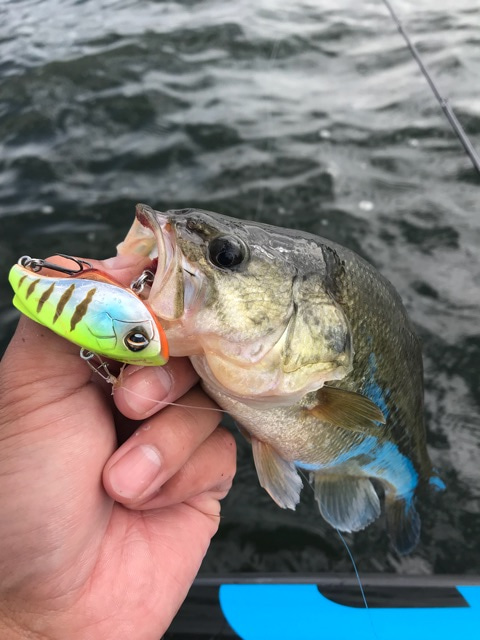 {3BFD73DA-A245-46EE-A49B-864A1D46C95B}