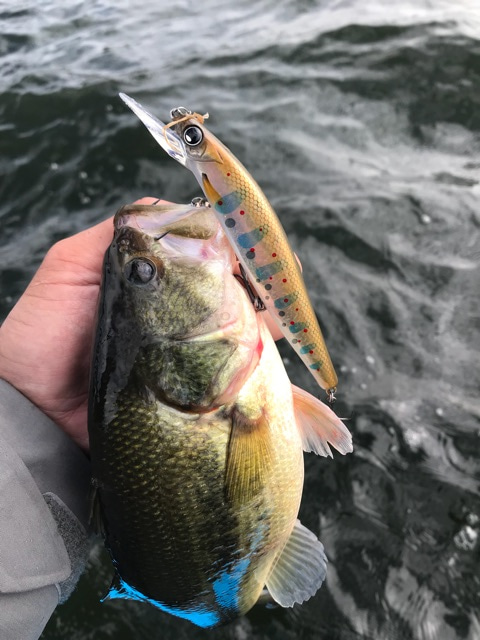 {76E27B54-61AD-473E-BAA5-A7CFA5323204}