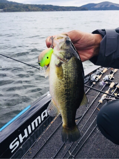 {1476E97D-8EDD-4B76-A97E-4709B30718B3}