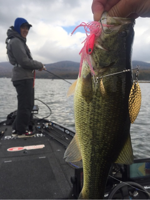 {49CB8277-F508-4FA8-BFAF-3764A3F1A135}