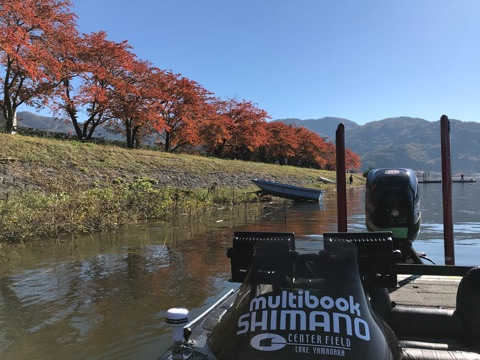 {D9D7F747-F340-4A2B-843D-3B15BE2814D1}