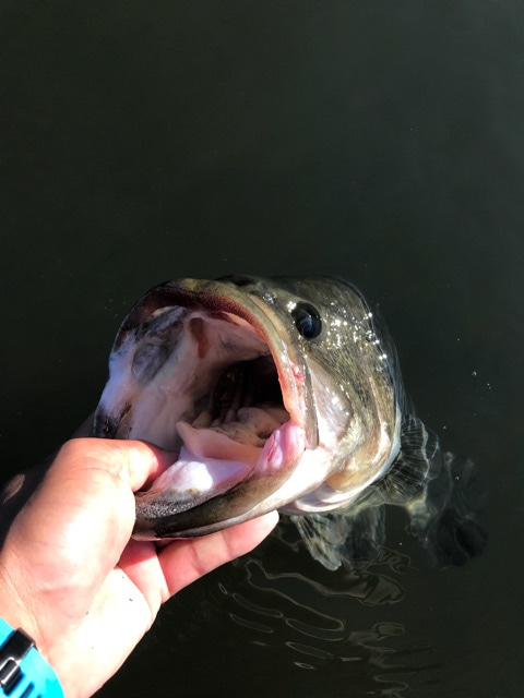 {71FBDBDD-FD2E-4CF5-B1C0-C034ED5A9833}