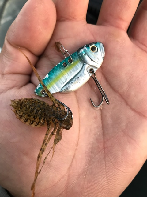 {E59DC2E2-05DD-4B7B-ACA1-129BA1260E4A}