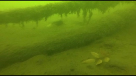 {9473E280-BDF6-4B6C-9782-D2F607C8133C}