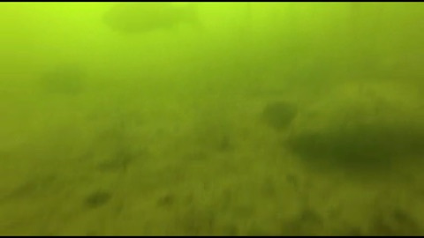 {D8CE99CA-895F-46FE-9F44-50D9EB2987E0}