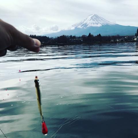 {1786F272-C683-4F31-A60D-ABD962697AA7}