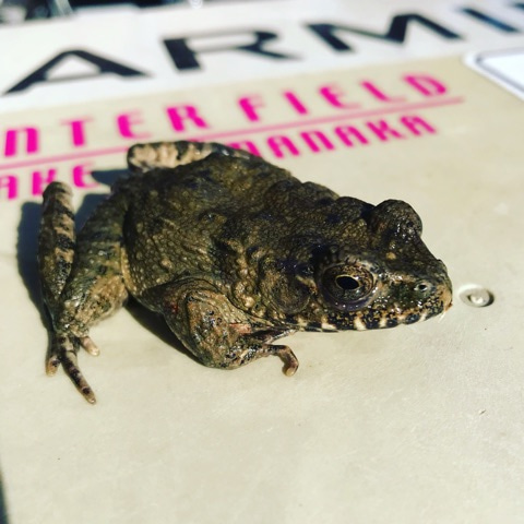 {13BEA556-9FAB-47BA-9E91-5C72E095EE0B}