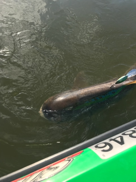 {BFE4E48B-396F-4E20-A10E-974E0B5A1964}